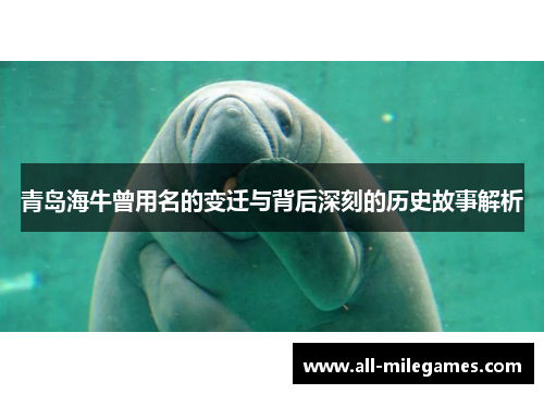 青岛海牛曾用名的变迁与背后深刻的历史故事解析